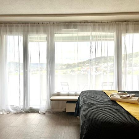 Апартаменты Little Penthouse **** Дитикон Экстерьер фото